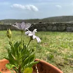 Casa Lorena Ξενοδοχείο